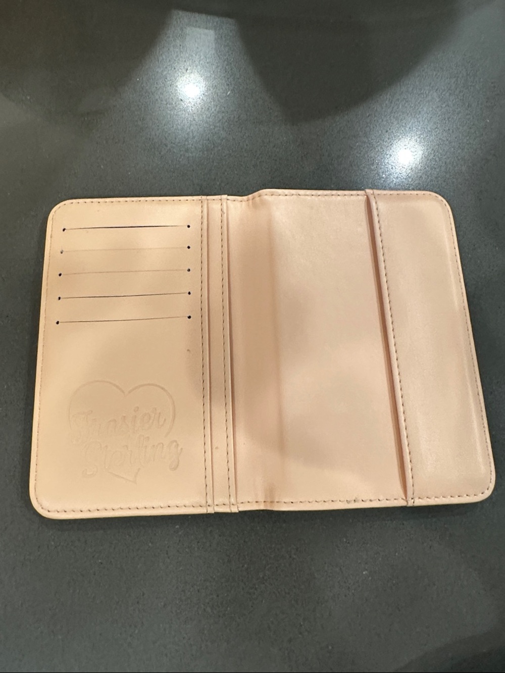 Frasier Sterling x Anthropologie Passport Wallet - Picture 4 of 5